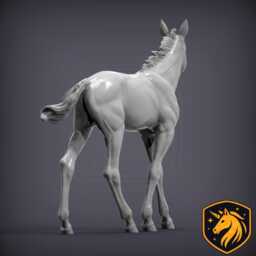 Foal - Walking Pose - Unpainted Resin Model - Realistic Young Horse Sculpture - thumbnail 4