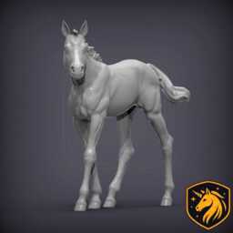 Foal - Walking Pose - Unpainted Resin Model - Realistic Young Horse Sculpture - thumbnail 3