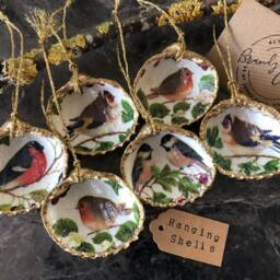 Garden Bird Decorations Cockle Shell Ornaments - Robin, Tit, Bullfinch, Goldfinch British Songbird Gift Hanging Christmas - thumbnail 2