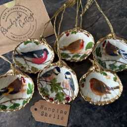 Garden Bird Decorations Cockle Shell Ornaments - Robin, Tit, Bullfinch, Goldfinch British Songbird Gift Hanging Christmas - thumbnail 4