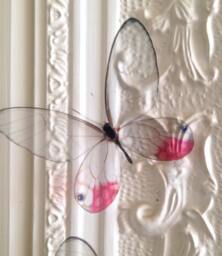 4 Natural 3D Glasswing Butterflies Transparent Replicas Home Wall Decorations Decor, Childrens Bedroom - thumbnail 1