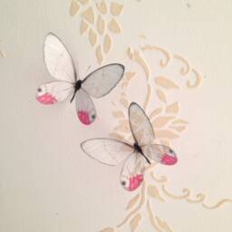 4 Natural 3D Glasswing Butterflies Transparent Replicas Home Wall Decorations Decor, Childrens Bedroom - thumbnail 3
