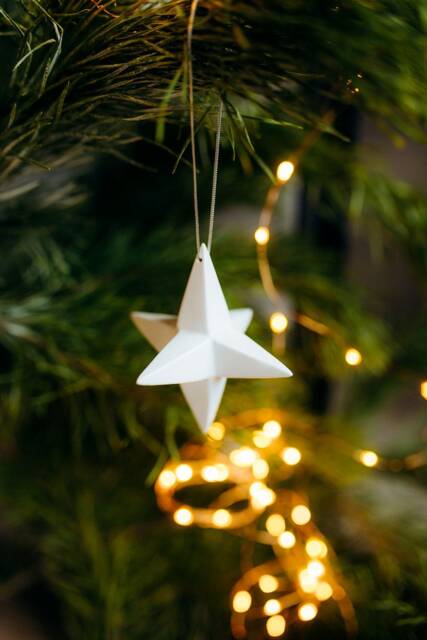 star Christmas Tree/Ornament Decorations Tree Ornaments - image 1