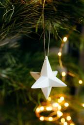 star Christmas Tree/Ornament Decorations Tree Ornaments - thumbnail 2
