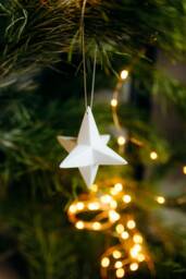 star Christmas Tree/Ornament Decorations Tree Ornaments - thumbnail 1
