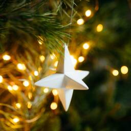 star Christmas Tree/Ornament Decorations Tree Ornaments - thumbnail 3