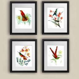 Hummingbirds Art Print Set Of 4 Unframed Bird & Botanical Gift For Mom - thumbnail 2