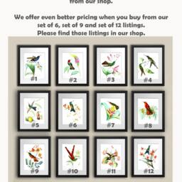 Hummingbirds Art Print Set Of 4 Unframed Bird & Botanical Gift For Mom - thumbnail 4