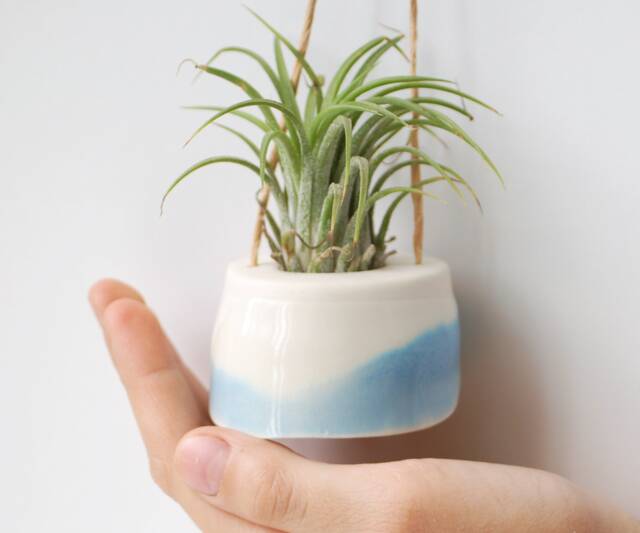 Mini Plant Hanger For Air - Tillandsia. Cream With Baby Blue Decor. Minimalist Design - image 1
