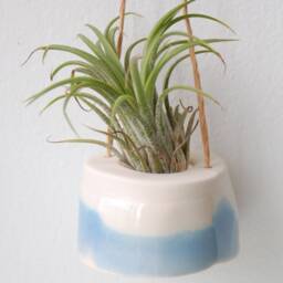 Mini Plant Hanger For Air - Tillandsia. Cream With Baby Blue Decor. Minimalist Design - thumbnail 3