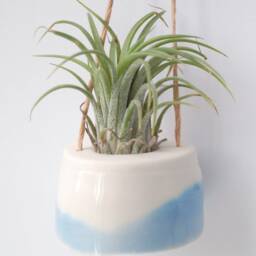Mini Plant Hanger For Air - Tillandsia. Cream With Baby Blue Decor. Minimalist Design - thumbnail 4