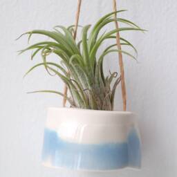 Mini Plant Hanger For Air - Tillandsia. Cream With Baby Blue Decor. Minimalist Design - thumbnail 2