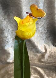 "Alice in Wonderland - Non Talking Flowers ""Bread & Butterflies Kissing The Tulips Yellow"
