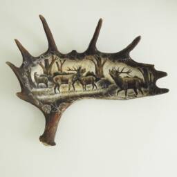 Real Moose Antler Carving Shows Roaring Deers - thumbnail 1