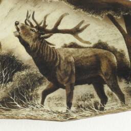 Real Moose Antler Carving Shows Roaring Deers - thumbnail 3