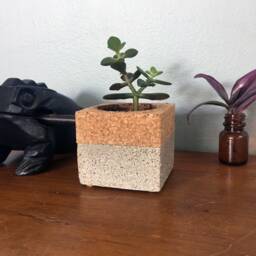 Concrete/Cork Planter - thumbnail 1
