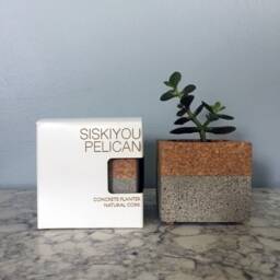 Concrete/Cork Planter - thumbnail 4