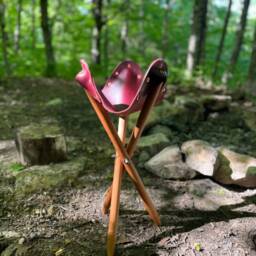 Burgundy Leather Campaign Stool Folding Camp Seat, Mahogany Legs - thumbnail 3