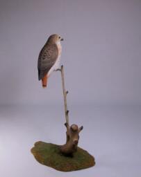 5-1/2 Inches Red-Tailed Hawk Hand Carved & Painted Wooden Bird - thumbnail 4