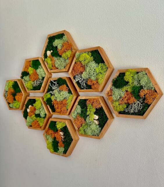 Honeycomb Moss Wall Art - Preserved Reindeer Moss, Wood Hexagon - image 1