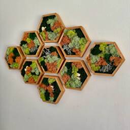 Honeycomb Moss Wall Art - Preserved Reindeer Moss, Wood Hexagon - thumbnail 3