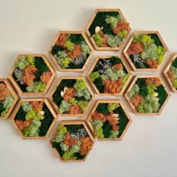 Honeycomb Moss Wall Art - Preserved Reindeer Moss, Wood Hexagon - thumbnail 2