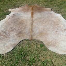 Beige Brown Tones Large New Cowhide Rug Natural Hair On - 7x7 Ft Size Approx Tri-Color Beige Brown Tones Soft Carpet Cow Hide 6x6 E-Bm - thumbnail 4