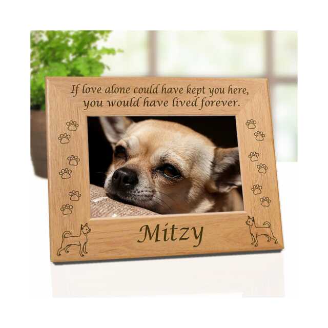 Chi, Chihuahuas Dog, Chihuahua Memorial, Photo, Photo Frame, Picture, Chihuahuas, Pet - image 1