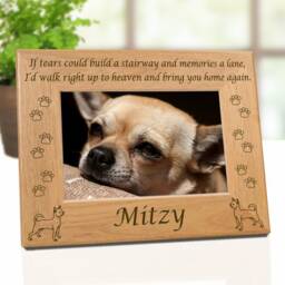 Chi, Chihuahuas Dog, Chihuahua Memorial, Photo, Photo Frame, Picture, Chihuahuas, Pet - thumbnail 3