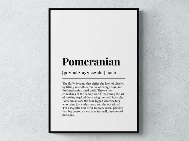 Pomeranian Funny Definition Dog Wall Art Print - image 1