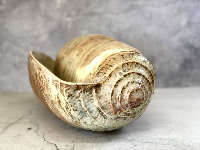 Giant Pottery Seashell. Home D??cor Ceramic Sculpture - image 1
