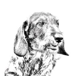 Dachshund - Wooden Stand For Candles/Pens With The Image Of A Dog New Collection - thumbnail 2