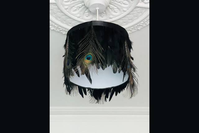 Black Feather Light Lamp Shade