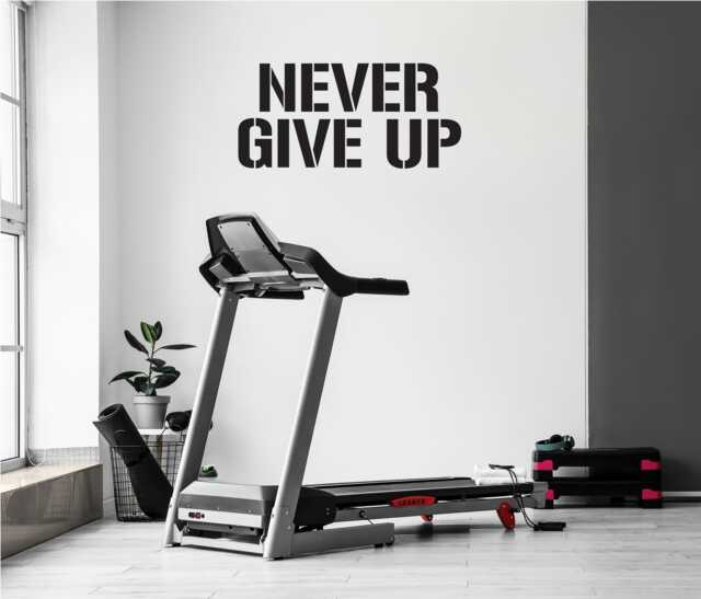 Inspirational Gym Wall Decal, Fitness Classroom Decor, Design, Never Give Up, Physical Therapy Office Sign - image 1