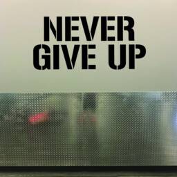 Inspirational Gym Wall Decal, Fitness Classroom Decor, Design, Never Give Up, Physical Therapy Office Sign - thumbnail 3