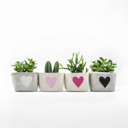 Heart Canvas Mini Planter For Succulents & Cacti, Magenta Blockprint On Cotton - thumbnail 2