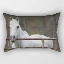 White Horse, Pillow Or Cover Home Decoration, Grey, White, Rustic, Farm, Equestrian, Landscape, Country Living, Decor, Farmhouse Decor - thumbnail 2