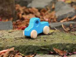Wood Truck/Pickup Turquoise