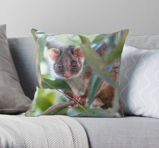 Ringtail Possum Throw Pillow Cover - Australian Wildlife Decor - image 1