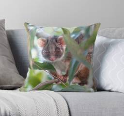 Ringtail Possum Throw Pillow Cover - Australian Wildlife Decor - thumbnail 1