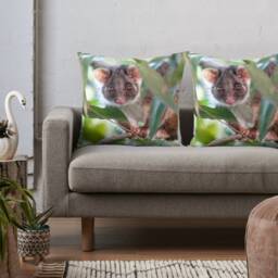 Ringtail Possum Throw Pillow Cover - Australian Wildlife Decor - thumbnail 2