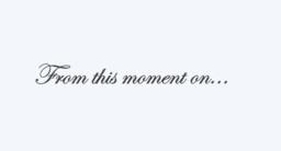 From This Moment On... Vinyl Wall Decal - Wedding - Engagement - Family - Decal Only - Perfect Addition Next To Favorite Family Pictures - thumbnail 2