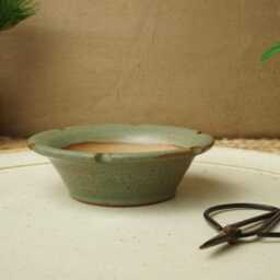 Handmade Green Mame Bonsai Pot. 10cm Diameter, 3cm High. G2579 - thumbnail 2