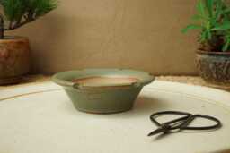 Handmade Green Mame Bonsai Pot. 10cm Diameter, 3cm High. G2579 - thumbnail 1