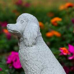 White Poodle Statue Concrete Dog Figurine Outdoor Puppy Sculpture Cement Garden Decoration Yard Ornament Poodle Lover Gift Front Door - thumbnail 4