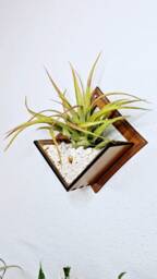 Laser Cut Wood Air Plant Holder - Wall Mounted Living Art Planter - thumbnail 1