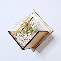 Laser Cut Wood Air Plant Holder - Wall Mounted Living Art Planter - thumbnail 2