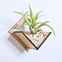 Laser Cut Wood Air Plant Holder - Wall Mounted Living Art Planter - thumbnail 3