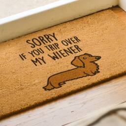 Weiner Doormat - Sorry If You Trip Over My Wiener Funny Gift Dog Lover Dachshund Welcome Mat - thumbnail 3