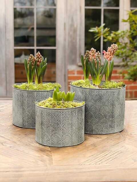 Deco Galvanised Metal Pot - image 1